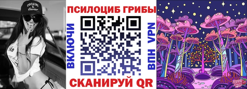 Галлюциногенные грибы Psilocybine cubensis  Фролово 
