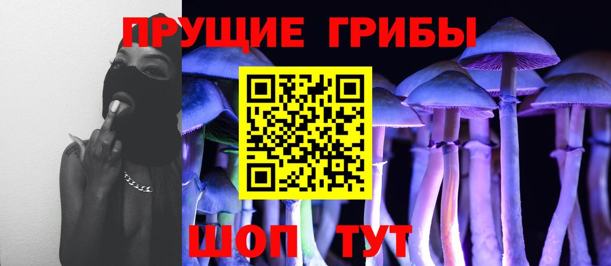 Псилоцибиновые грибы Cubensis Фролово