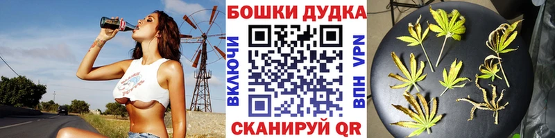 где купить наркоту Фролово Бошки марихуана планчик
