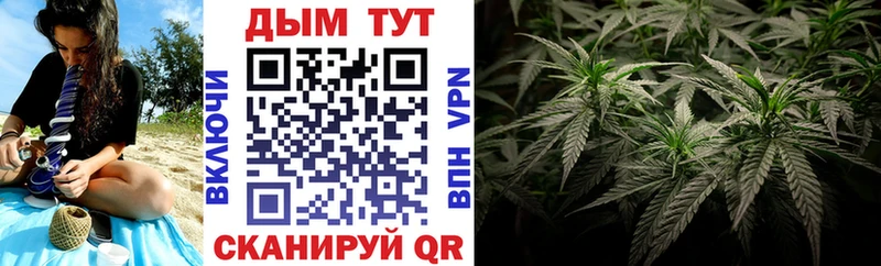 Конопля план Фролово